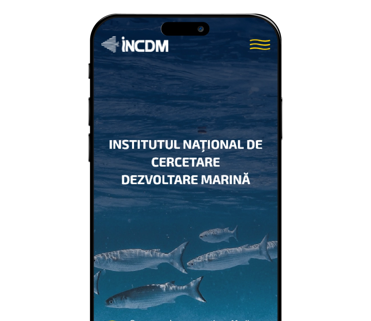 Research and Development