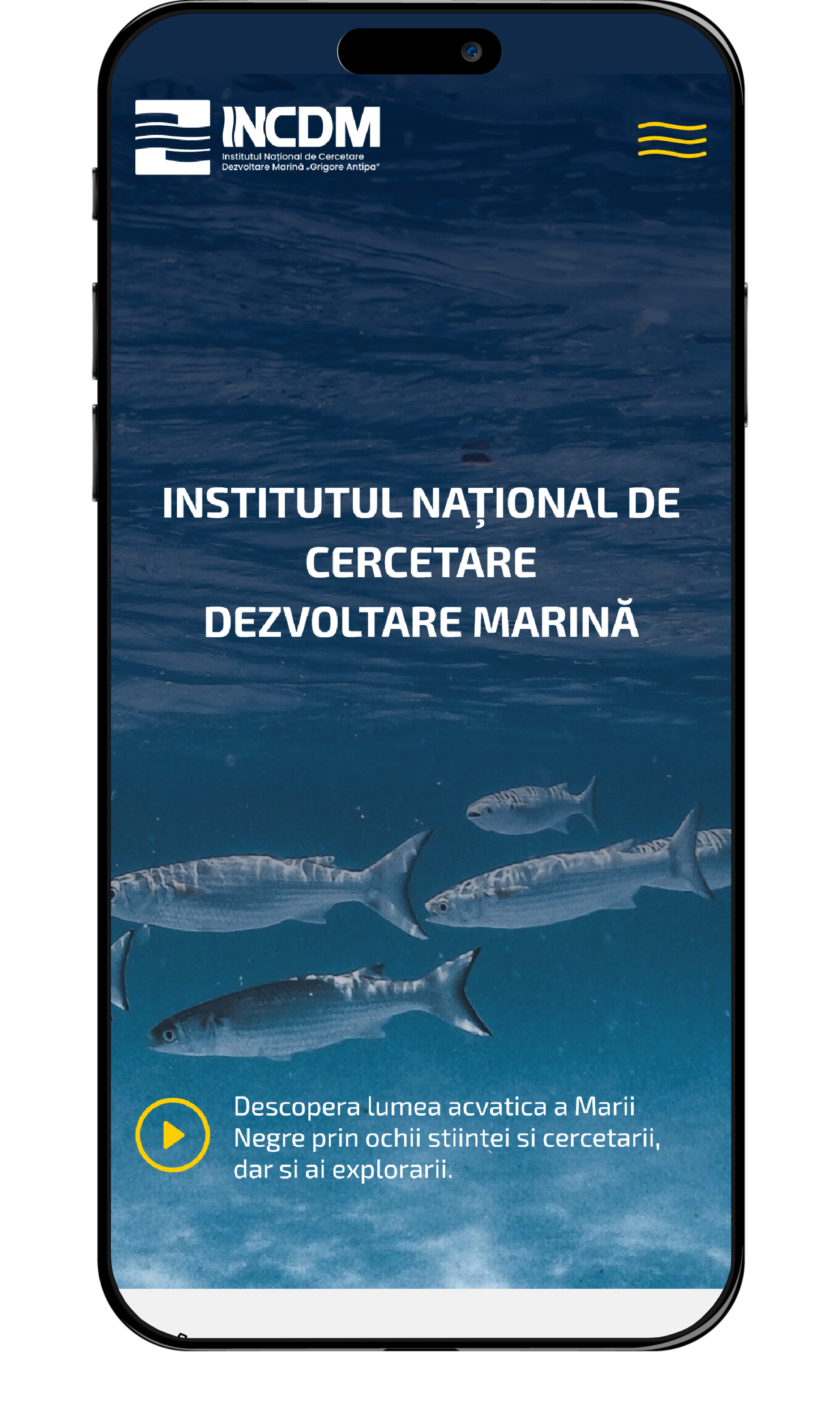 Institutul de cercetare marină "Grigore Antipa"